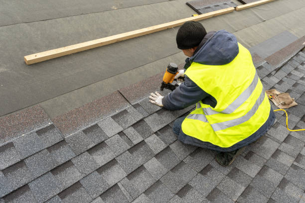 Best Roof Insulation Installation  in Tanaina, AK
